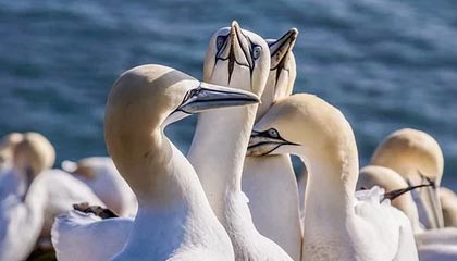 AIYOUXI.COM-高校篮球推广体能恢复课程延长运动员竞技寿命，高校篮球现状