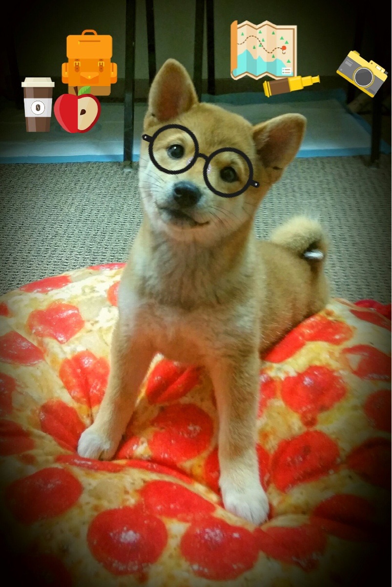 AYX官网-_夜空瑜伽：在星光下的身心合一_，星空瑜伽馆